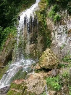 АЛЬПИЙСКИЕ ЛУГА + РИЦА + ГЕГСКИЙ ВОДОПАД — фото 3