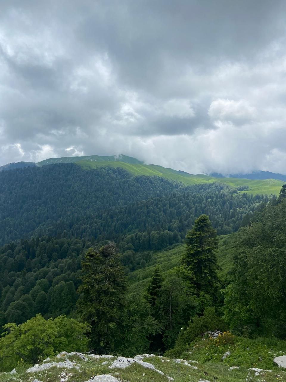 ЭКСКЛЮЗИВ 11 В 1 (ОЗЕРО РИЦА + ГЕГСКИЙ ВОДОПАД + ПЕРЕВАЛ ПЫВ) — фото 4