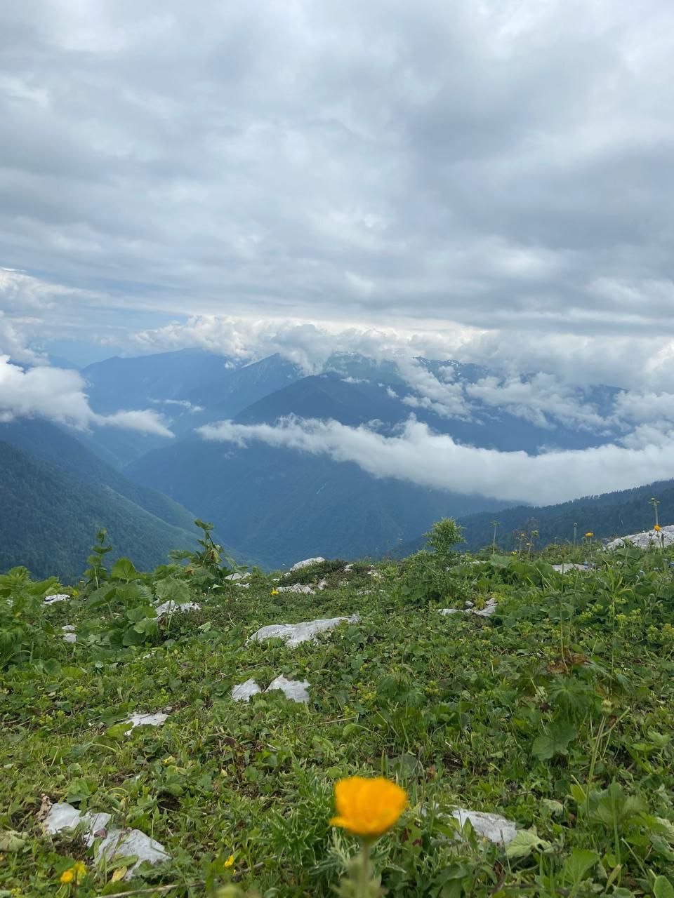 ЭКСКЛЮЗИВ 11 В 1 (ОЗЕРО РИЦА + ГЕГСКИЙ ВОДОПАД + ПЕРЕВАЛ ПЫВ) — фото 5