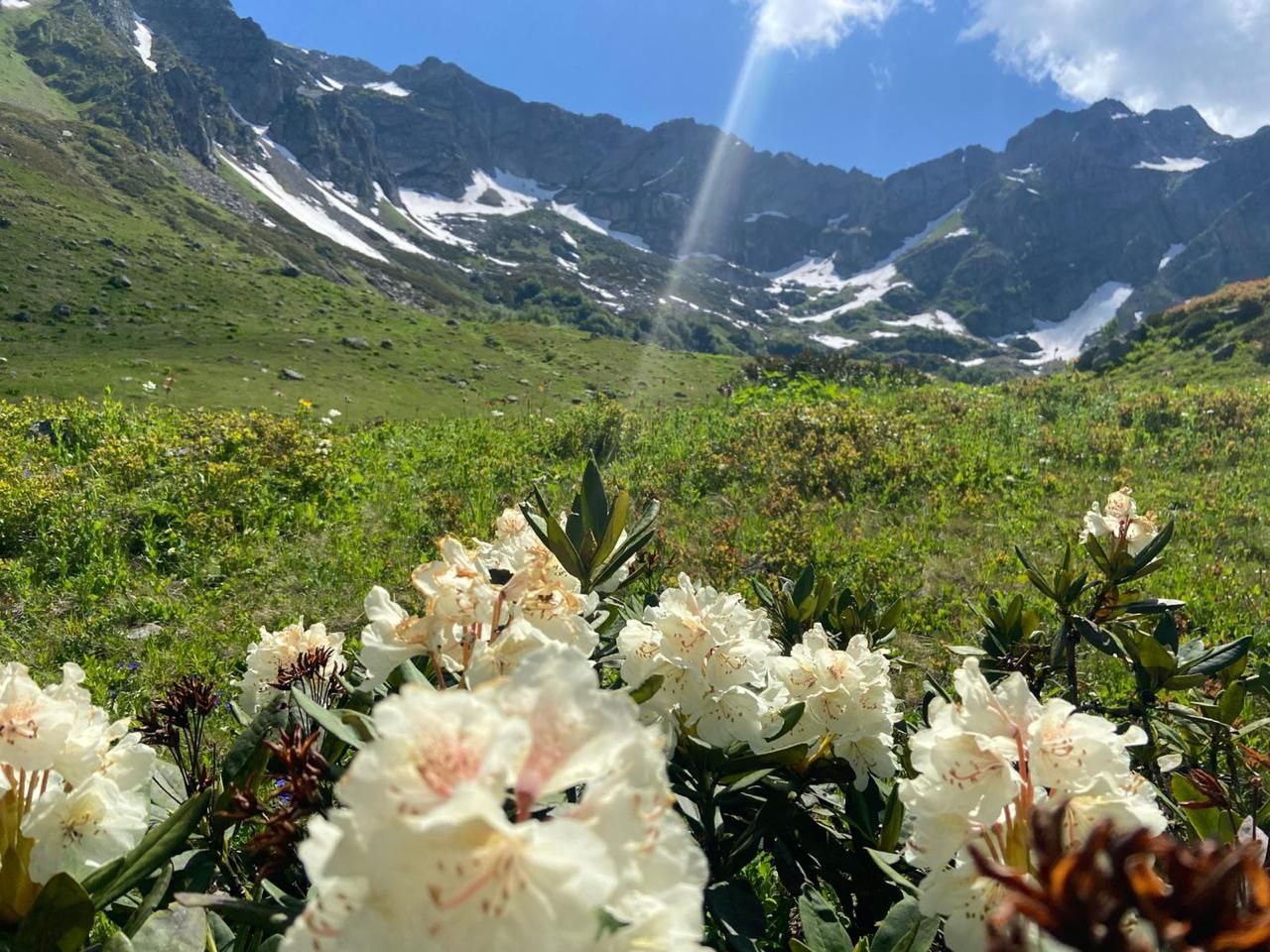 ОЗЕРО РИЦА — фото 3